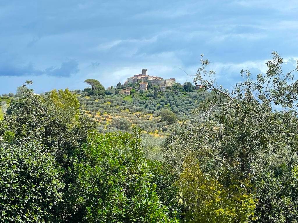 Villa in vendita a Capalbio, Capalbio