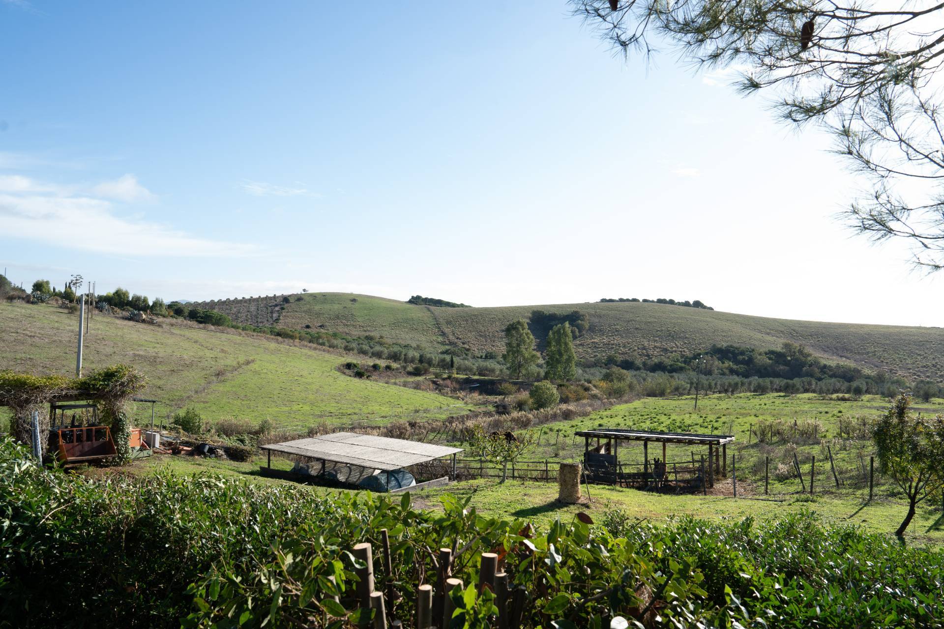 Tenuta in vendita a Capalbio, Pescia Fiorentina