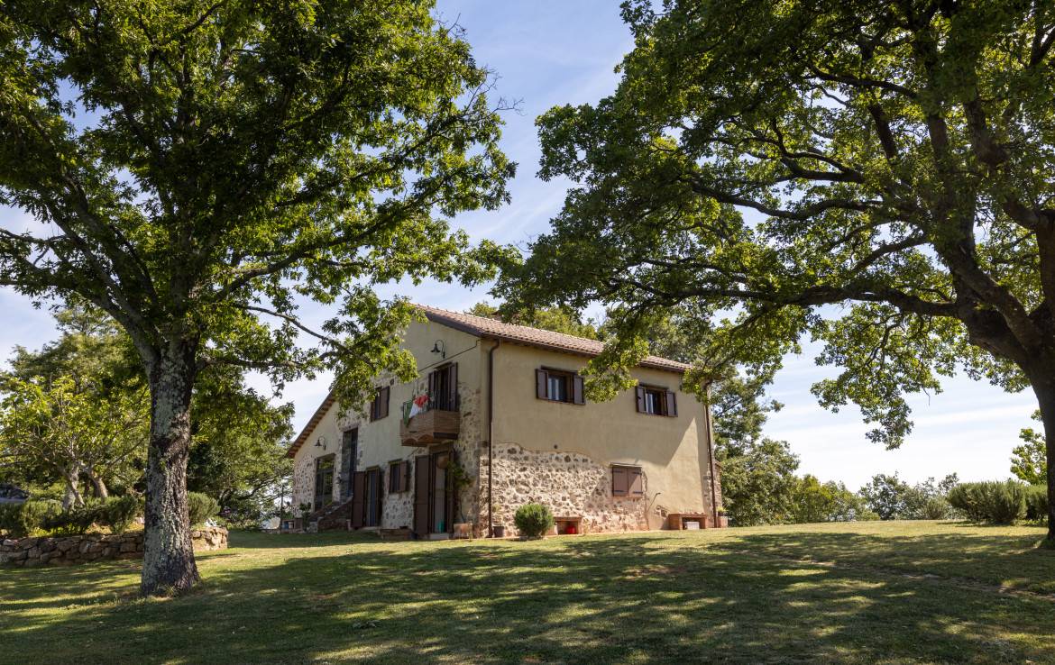 Rustico/Casale/Corte in vendita a Roccalbegna