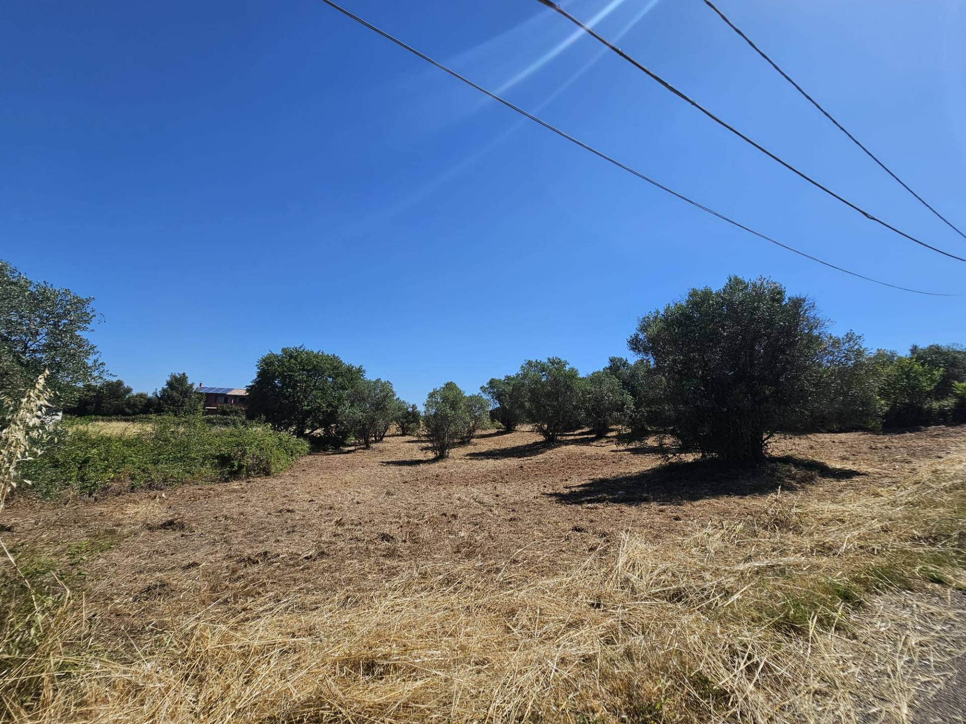 Terreno agricolo in vendita a Viterbo, Periferia