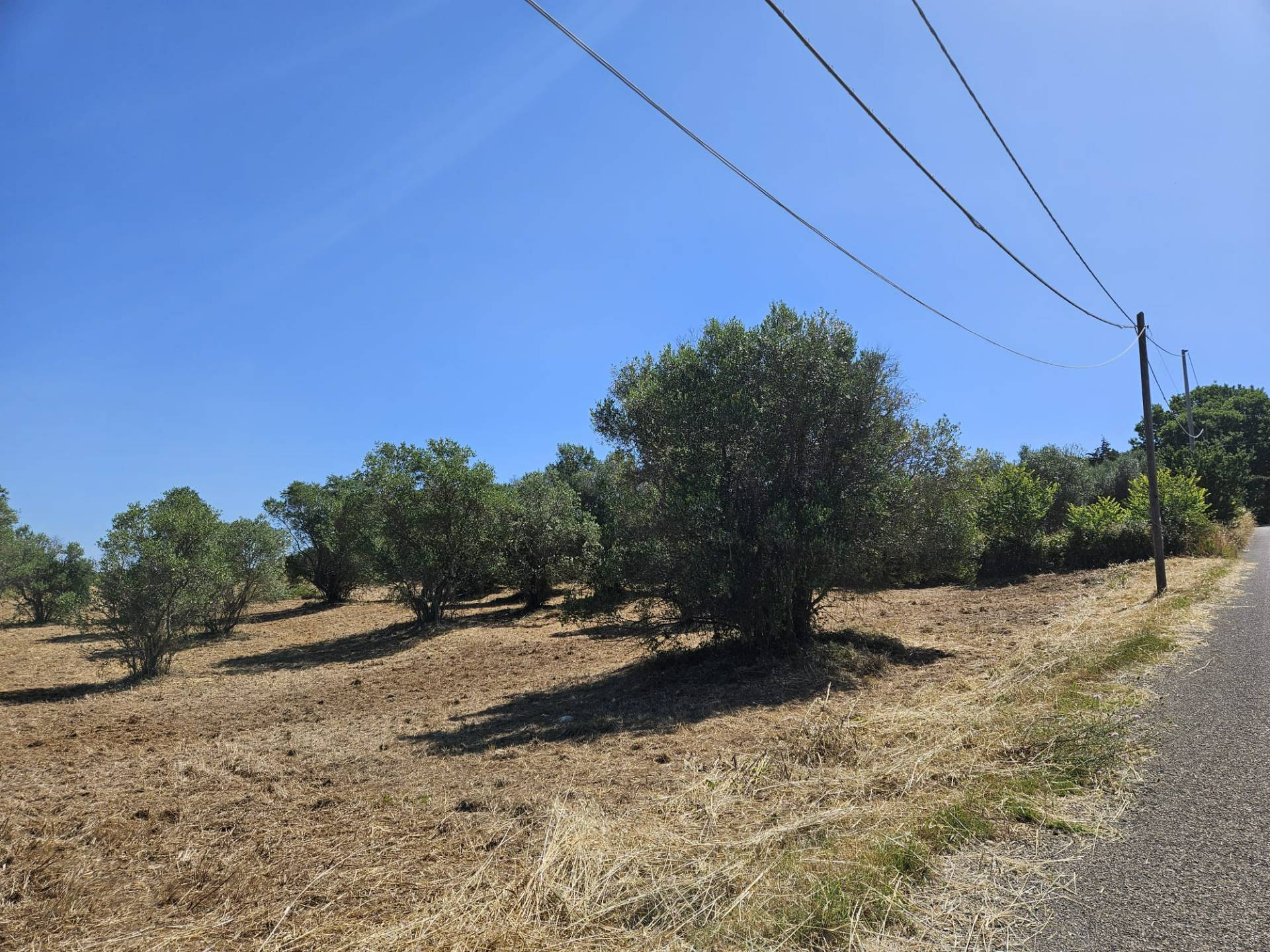 Terreno agricolo in vendita a Viterbo, Periferia