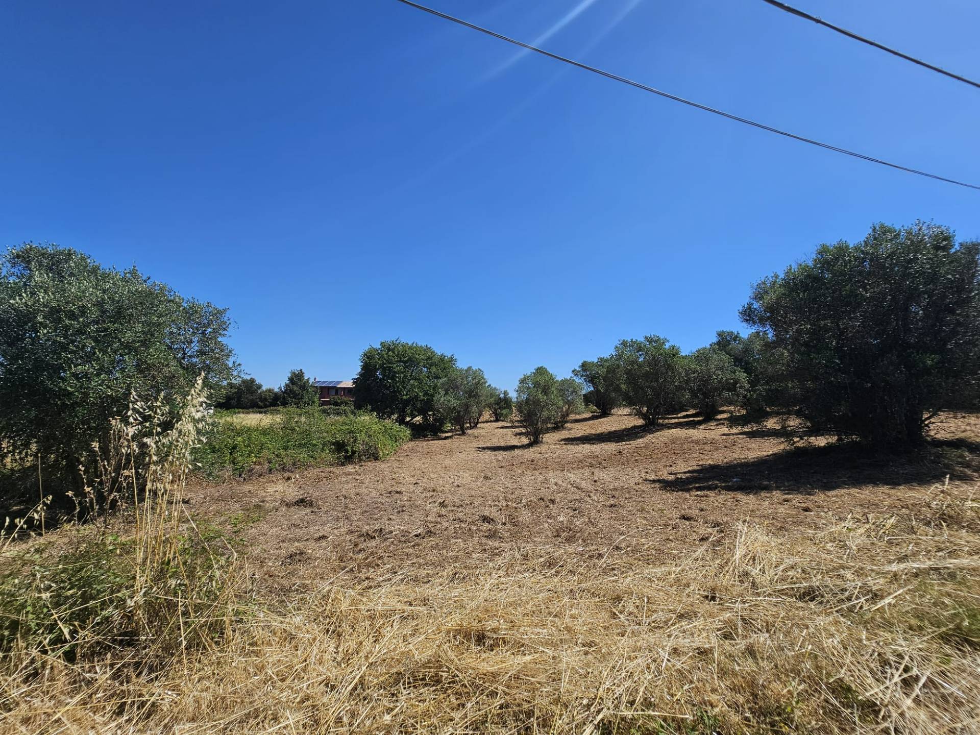 Terreno agricolo in vendita a Viterbo, Periferia
