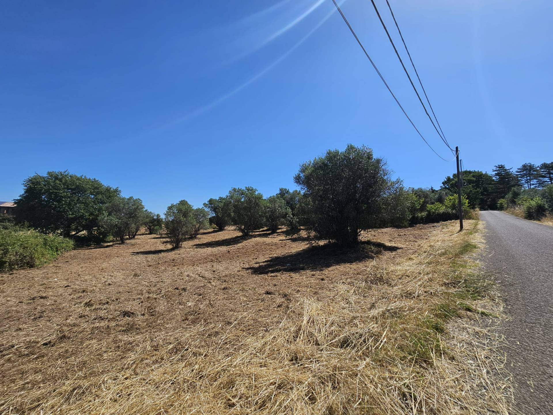 Terreno agricolo in vendita a Viterbo, Periferia