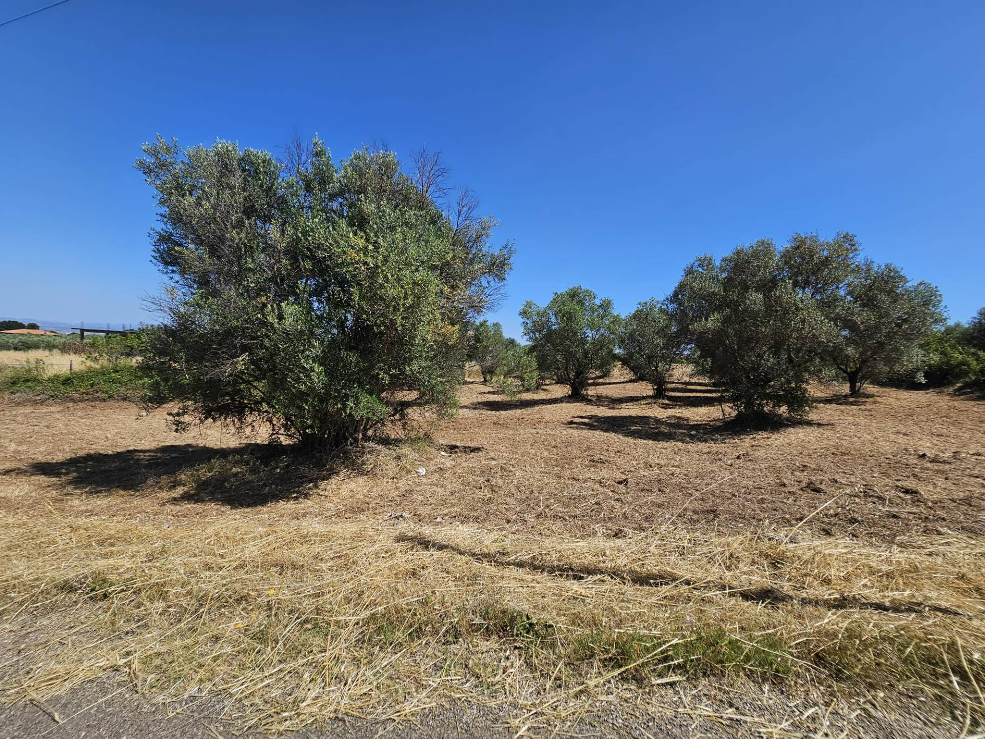 Terreno agricolo in vendita a Viterbo, Periferia