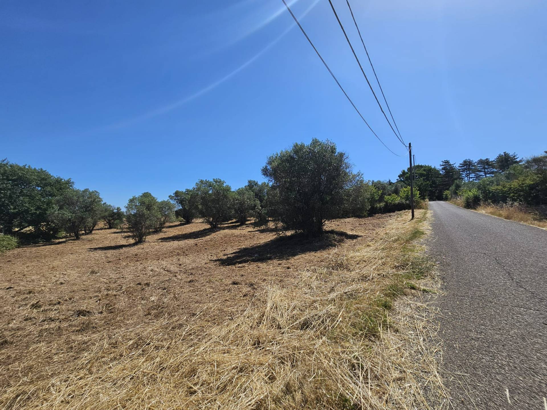 Terreno agricolo in vendita a Viterbo, Periferia
