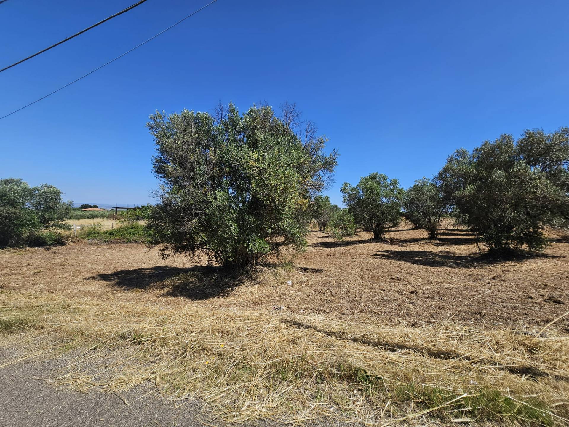 Terreno agricolo in vendita a Viterbo, Periferia