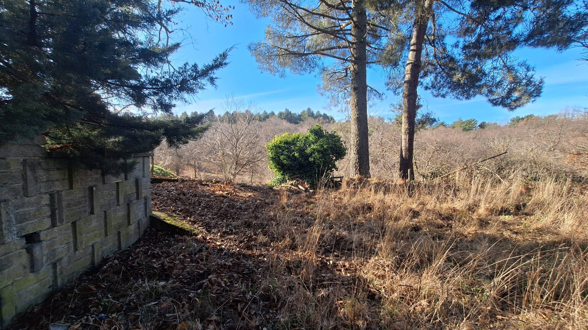 Villetta in vendita a Viterbo, Bagnaia