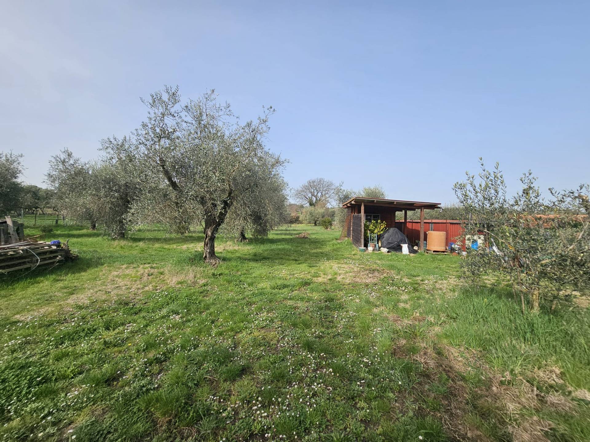 Terreno agricolo in vendita a Vitorchiano, Vitorchiano