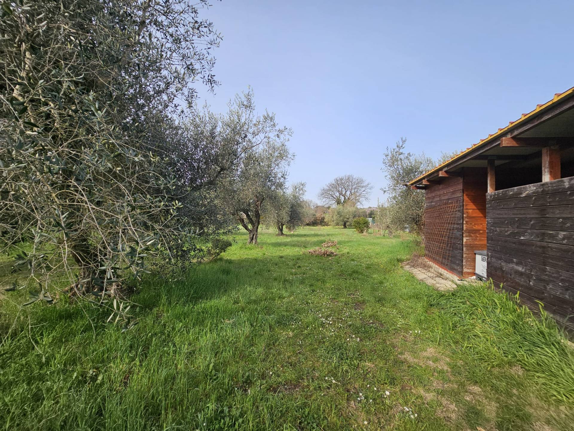 Terreno agricolo in vendita a Vitorchiano, Vitorchiano