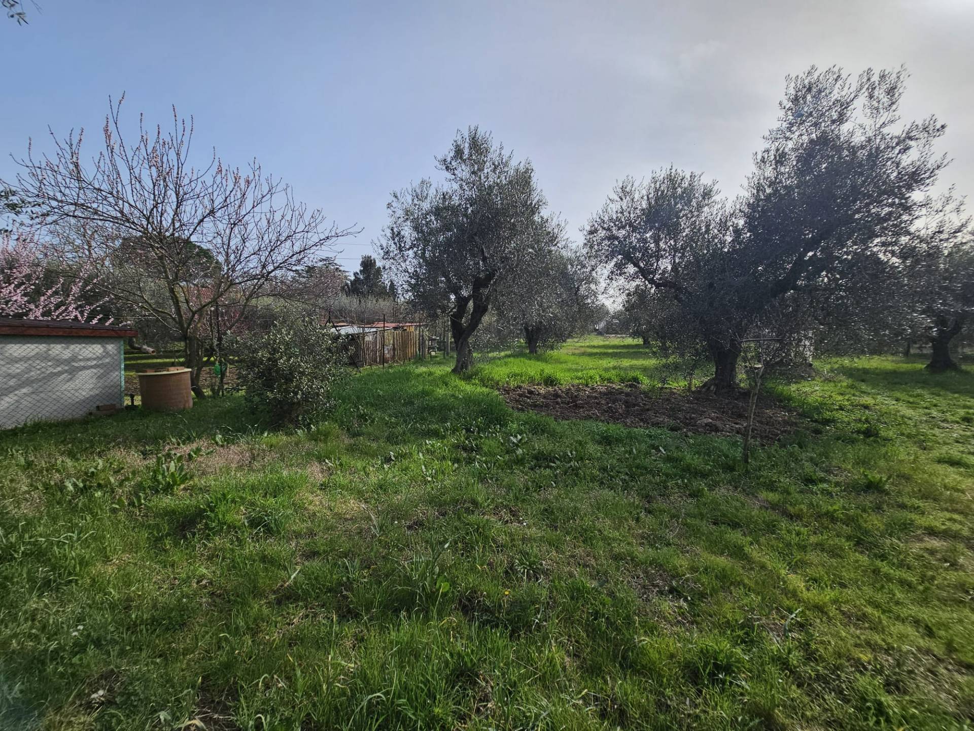 Terreno agricolo in vendita a Vitorchiano, Vitorchiano