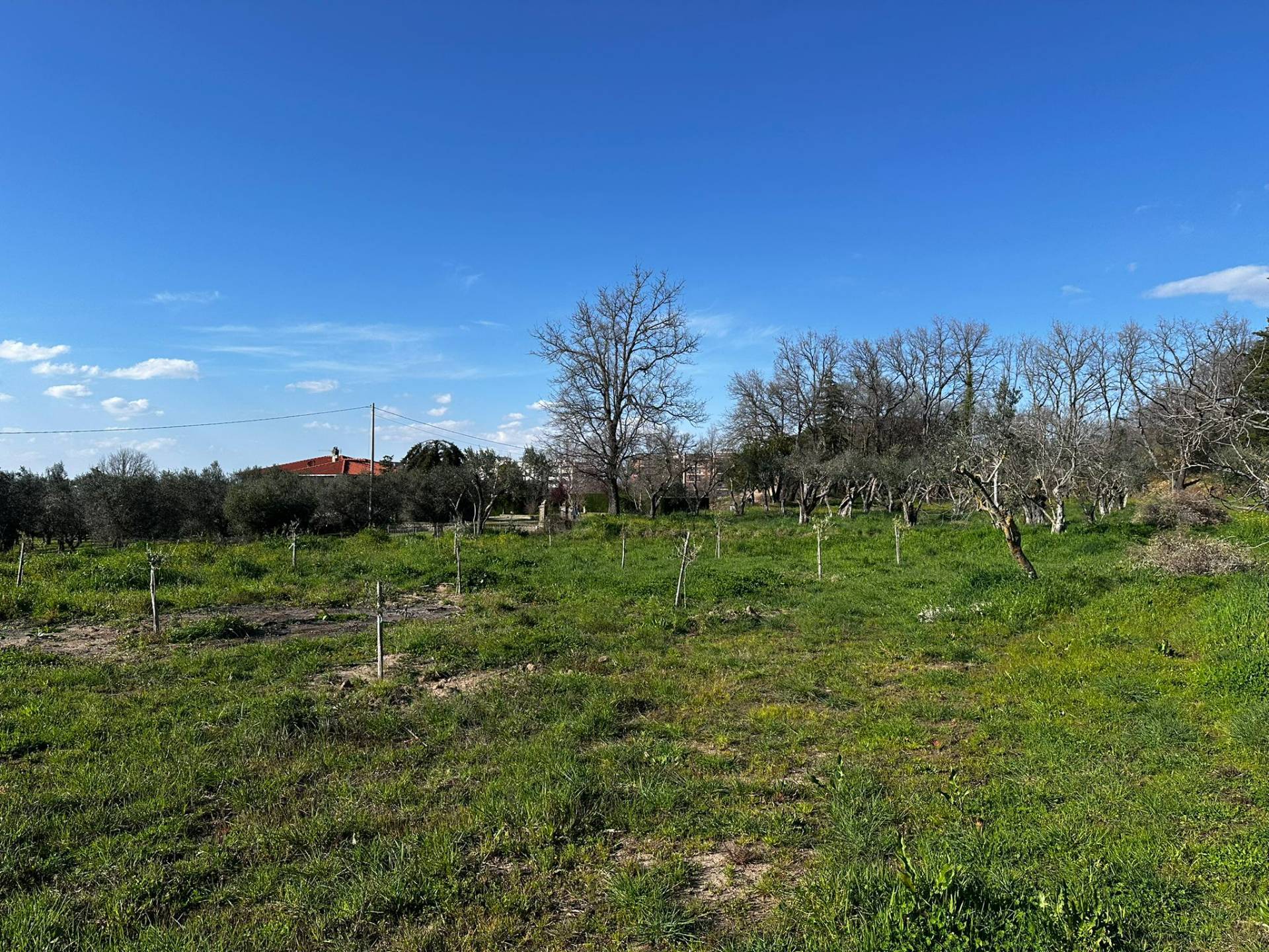 Terreno agricolo in vendita a Viterbo, Periferia