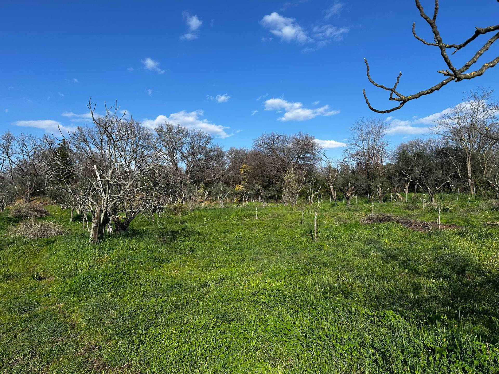Terreno agricolo in vendita a Viterbo, Periferia