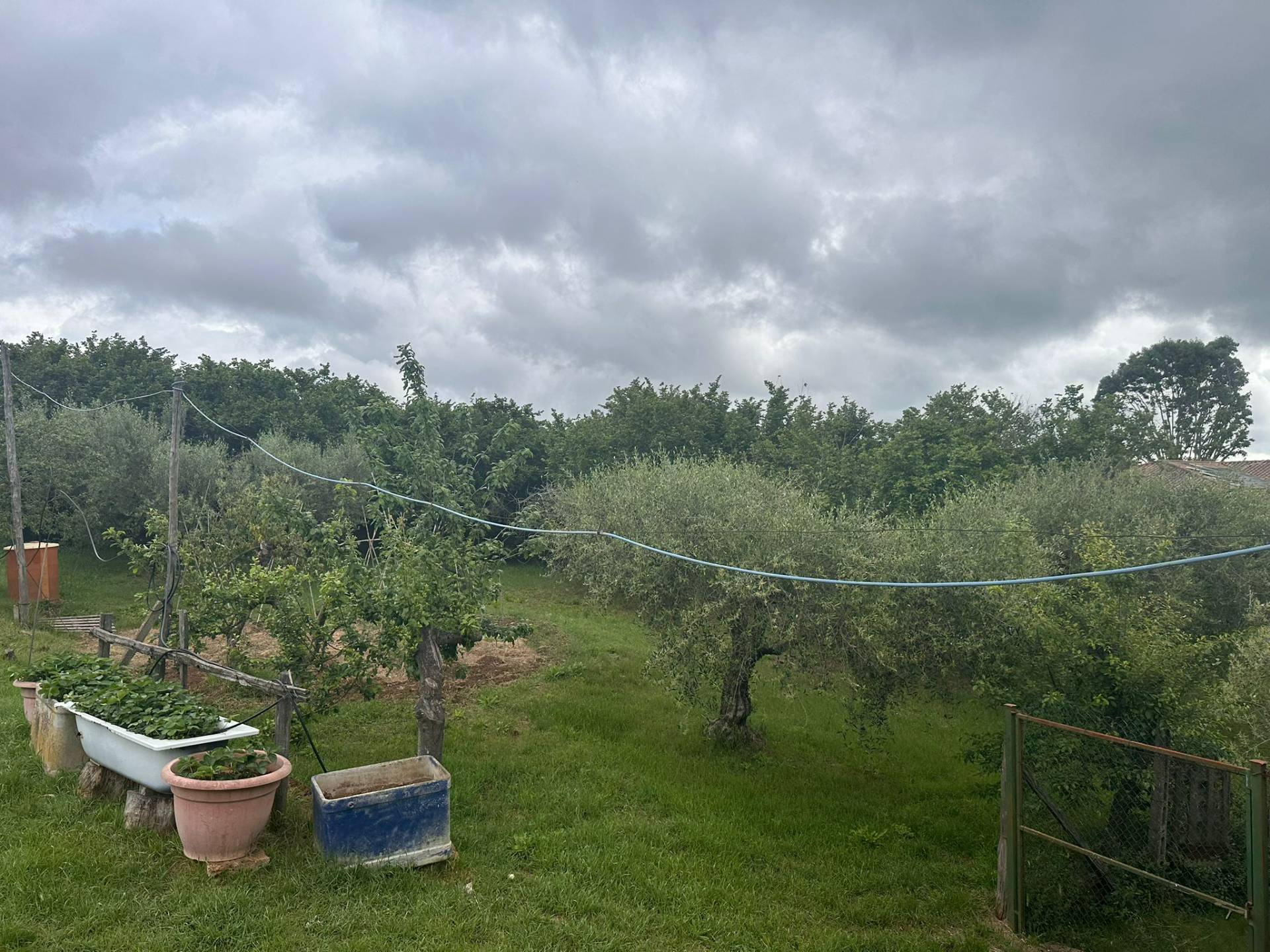 Terreno agricolo in vendita a Caprarola