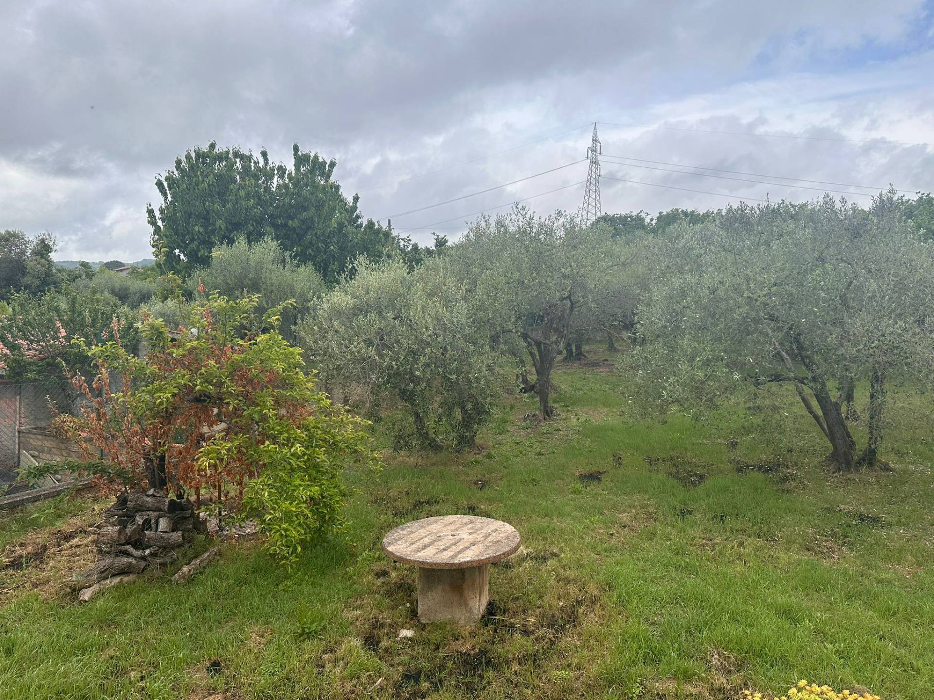 Terreno agricolo in vendita a Caprarola