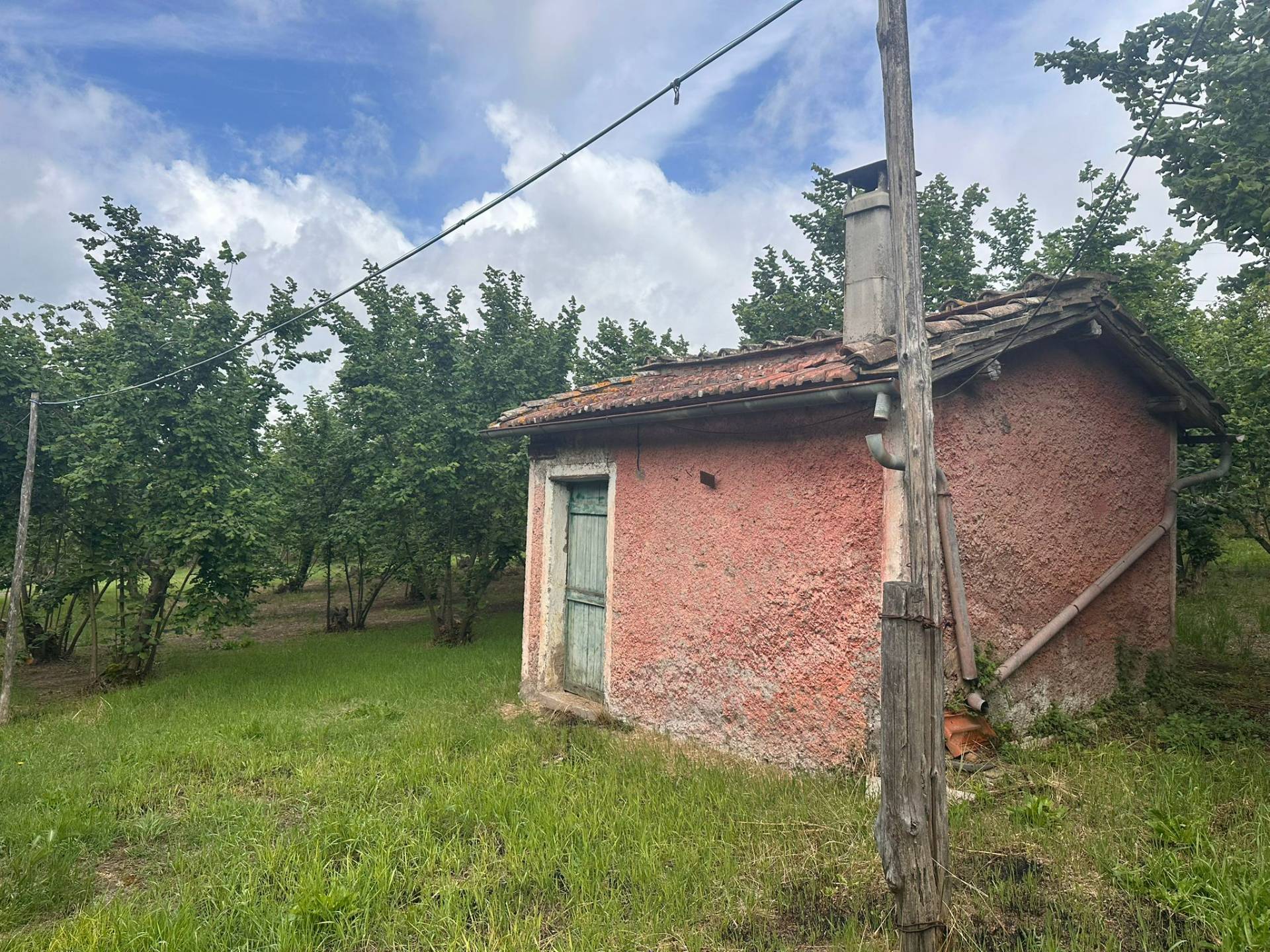 Terreno agricolo in vendita a Caprarola