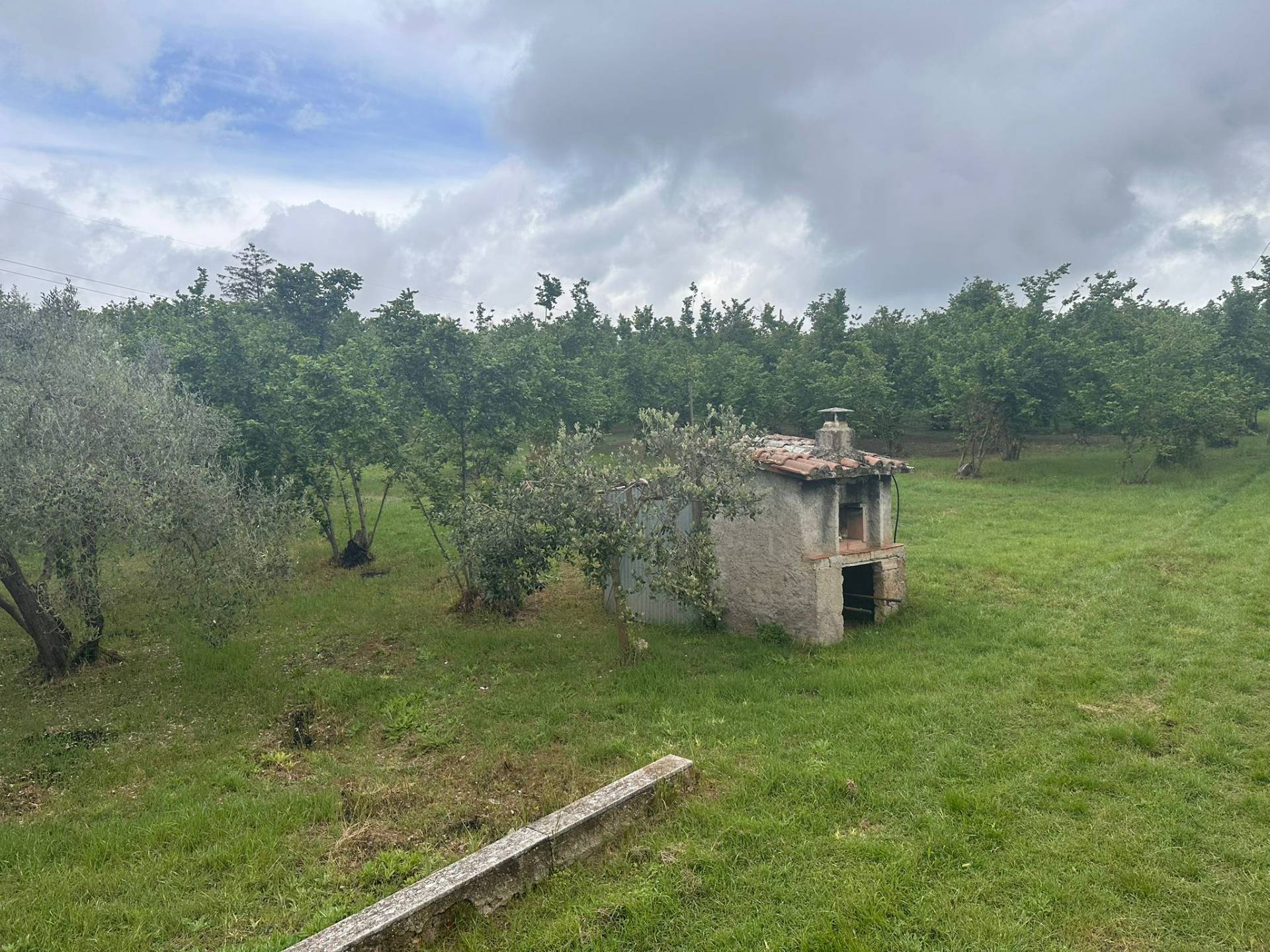 Terreno agricolo in vendita a Caprarola