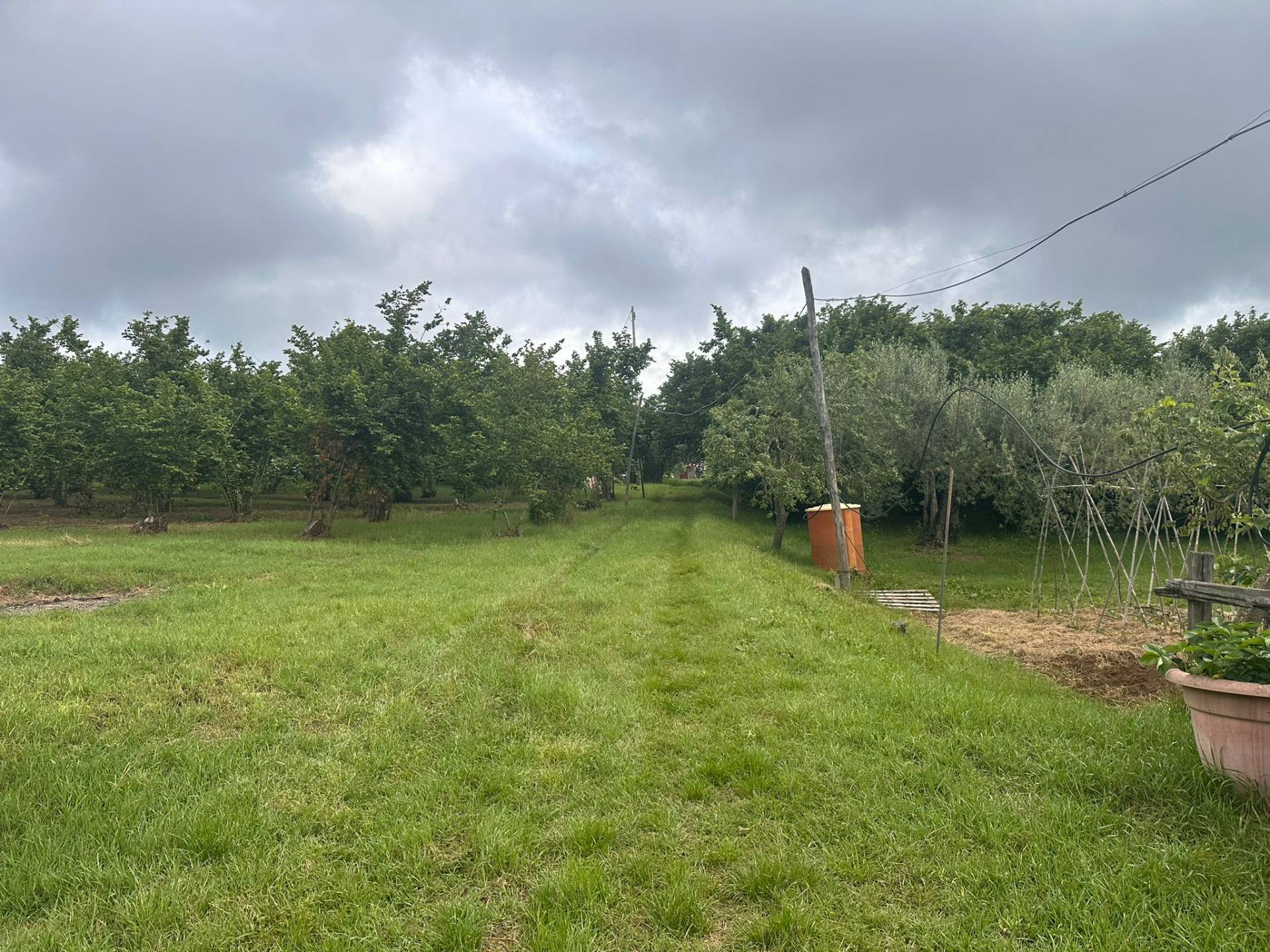 Terreno agricolo in vendita a Caprarola