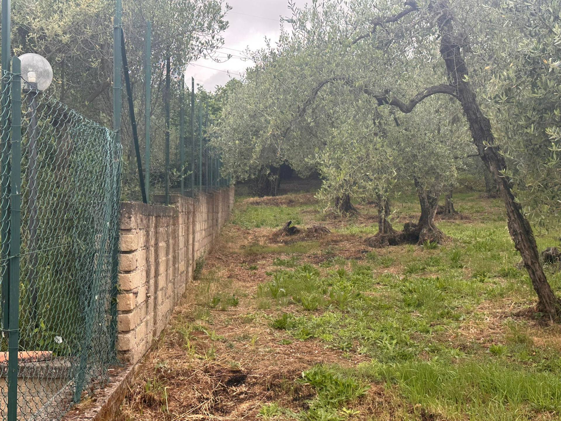 Terreno agricolo in vendita a Caprarola