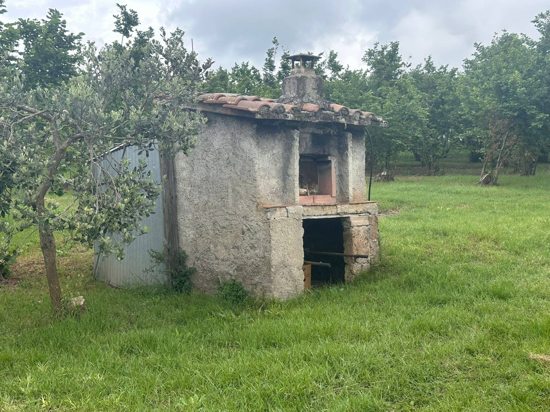 Terreno agricolo in vendita a Caprarola