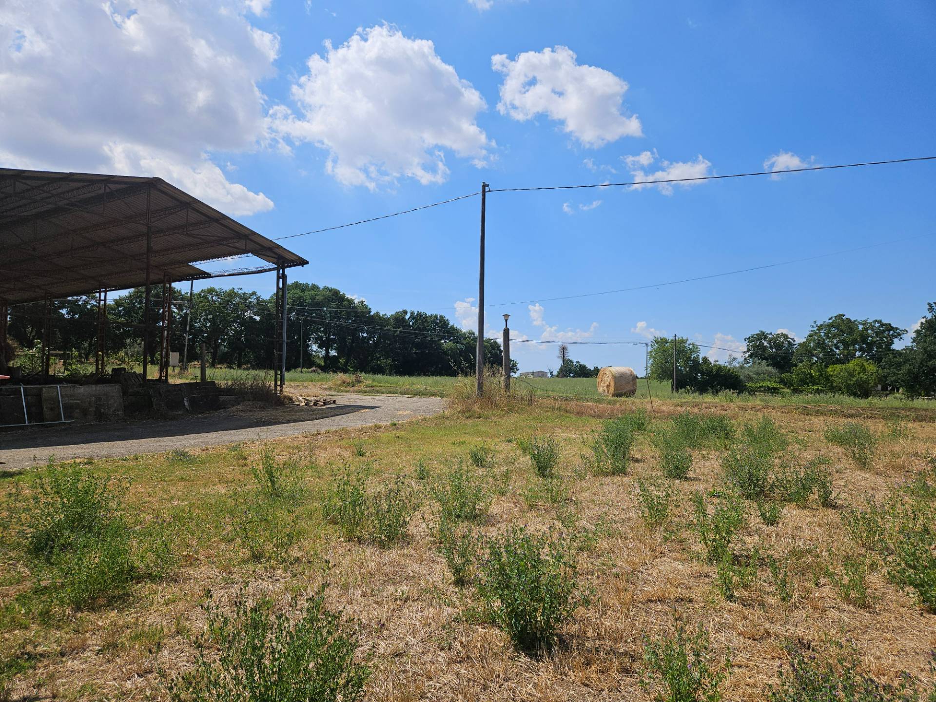 Terreno agricolo in vendita a Viterbo, Periferia