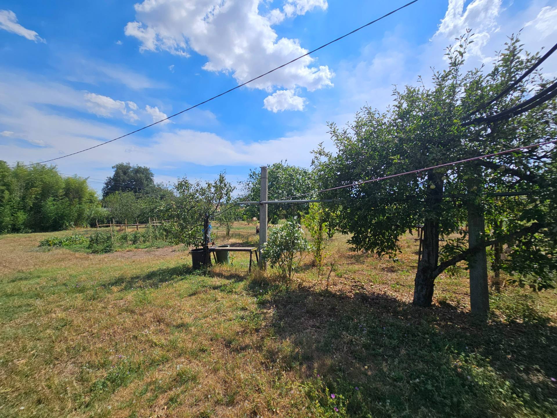 Terreno agricolo in vendita a Viterbo, Periferia