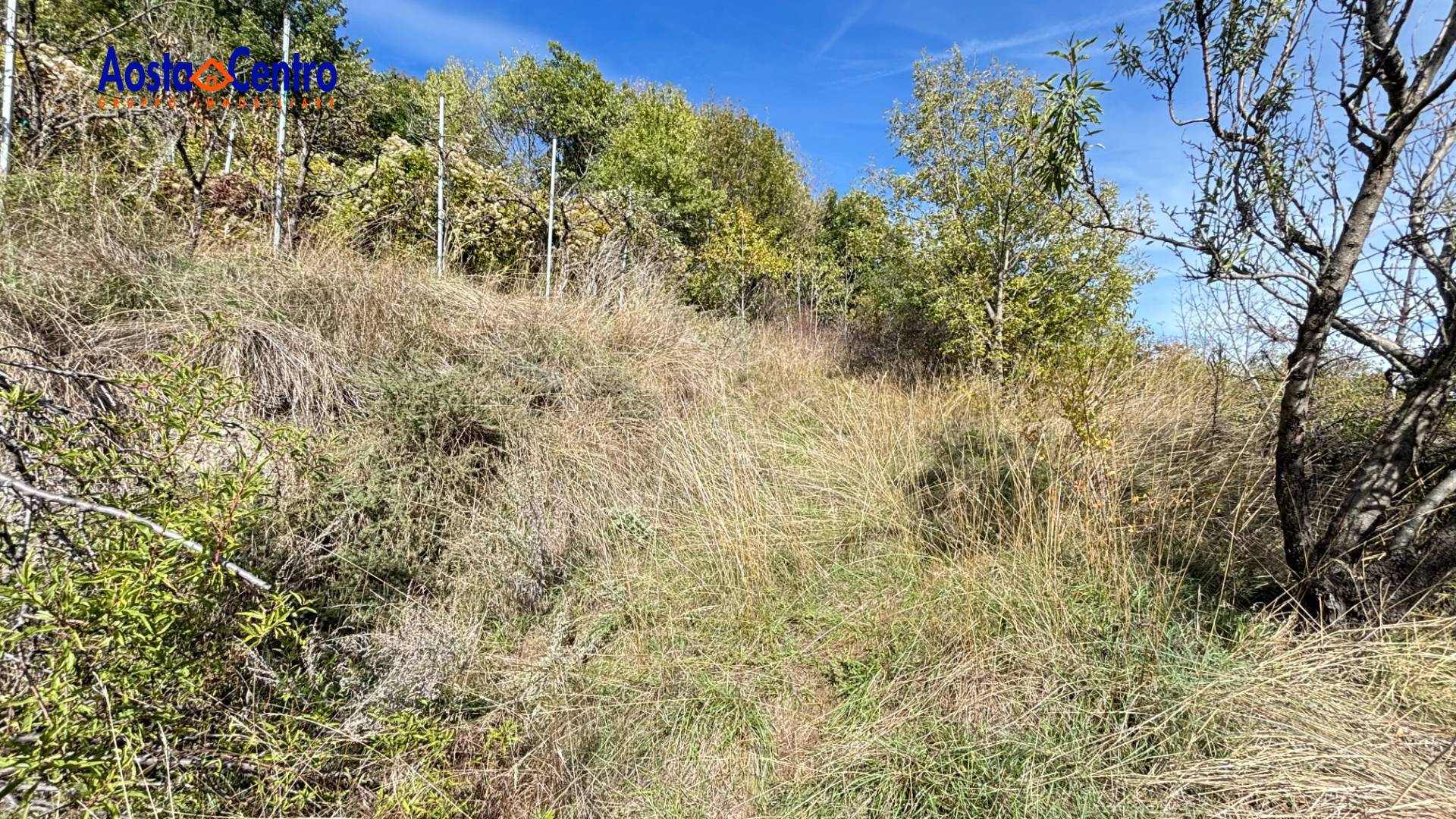 Terreno Agricolo in vendita a Aosta, Zona collinare