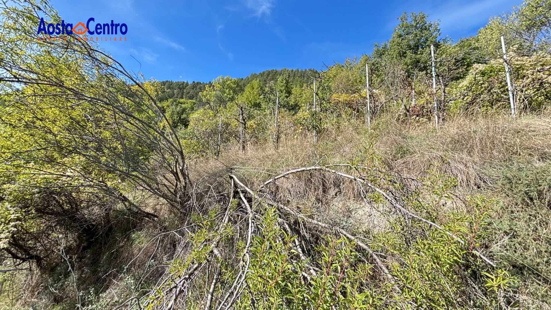 Terreno Agricolo in vendita a Aosta, Zona collinare