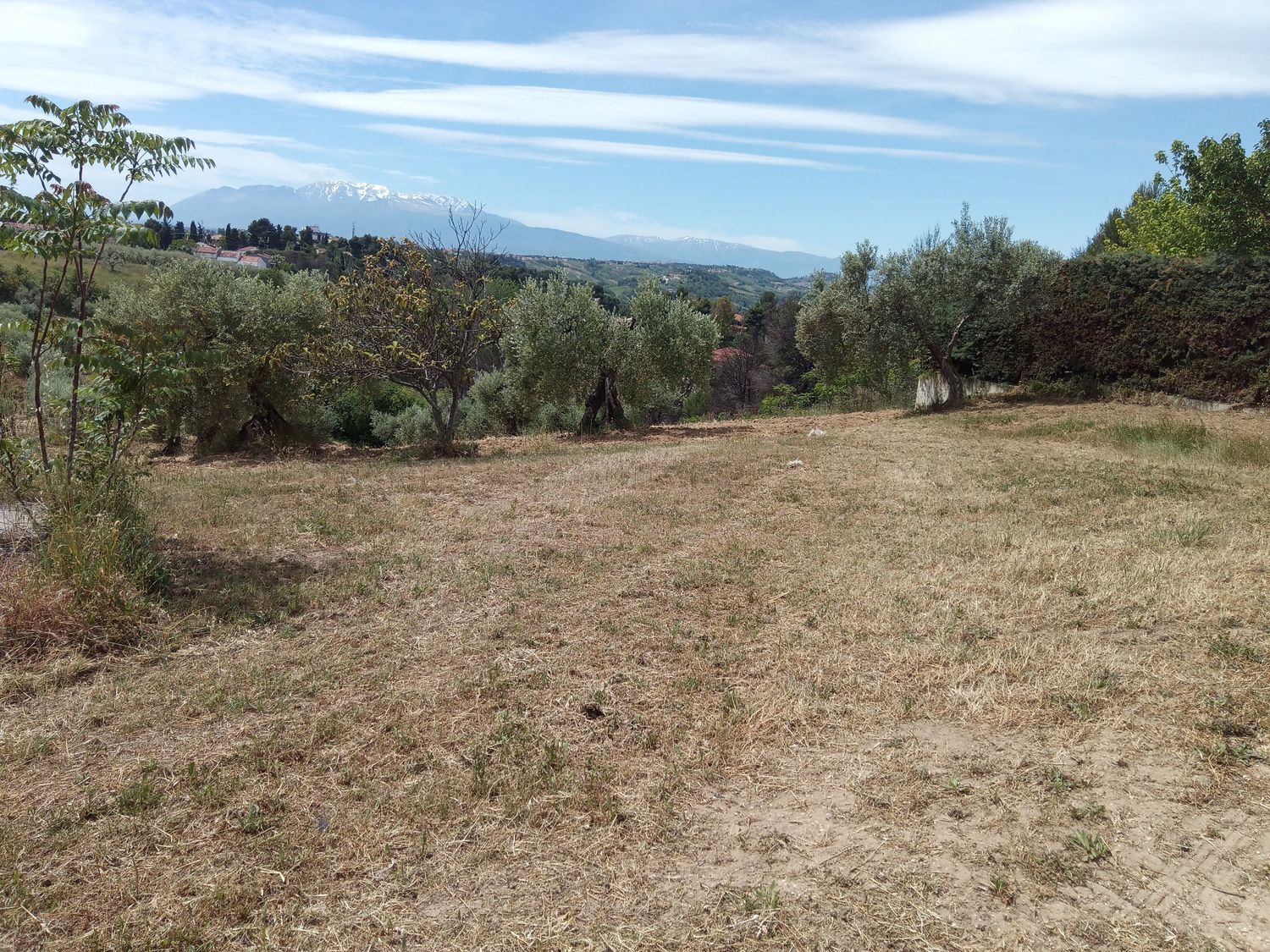 Terreno in vendita in strada colle renazzo 146, Pescara