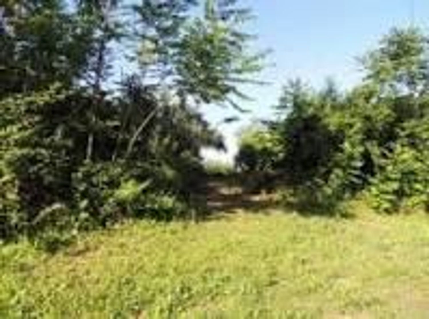 Terreno in vendita in via f. p. michetti 0, Scafa