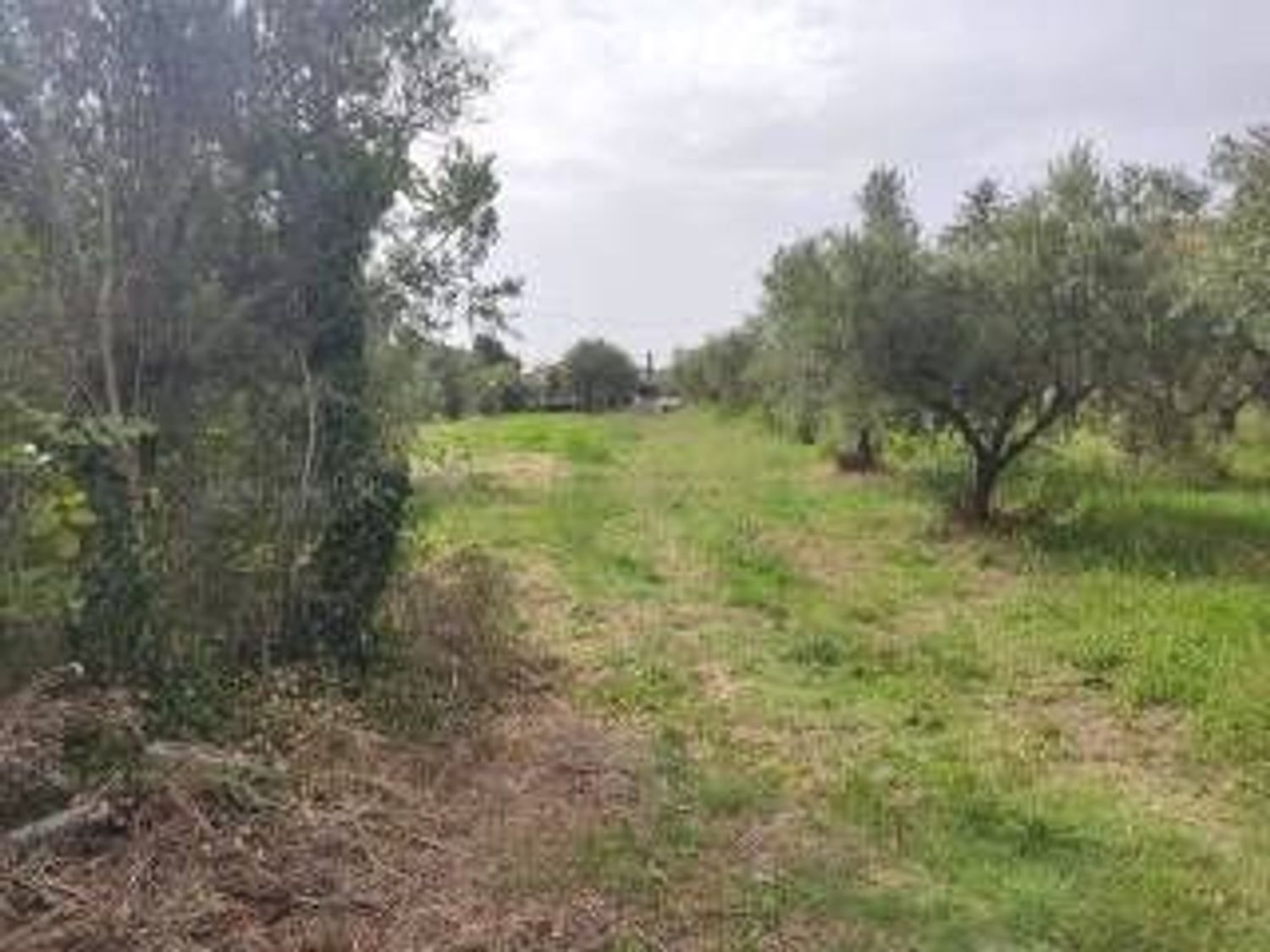 Terreno in vendita in via f. p. michetti 0, Scafa