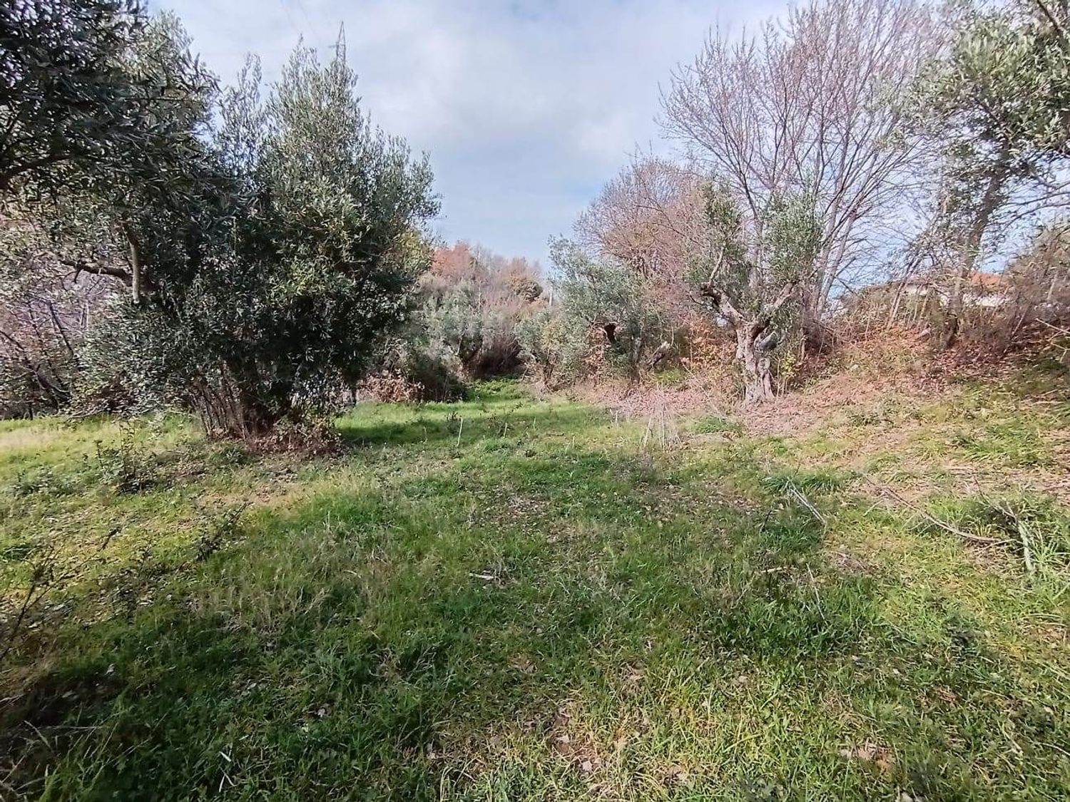 Terreno in vendita in via f. p. michetti 0, Scafa