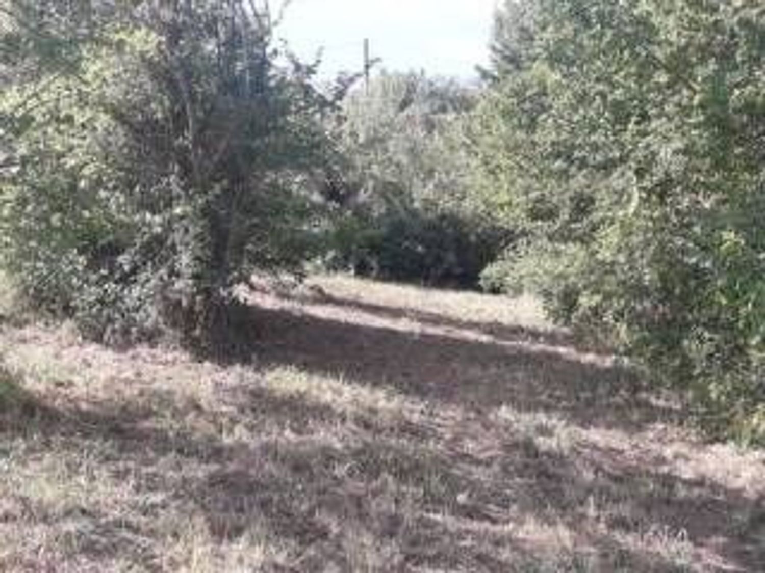 Terreno in vendita in via f. p. michetti 0, Scafa