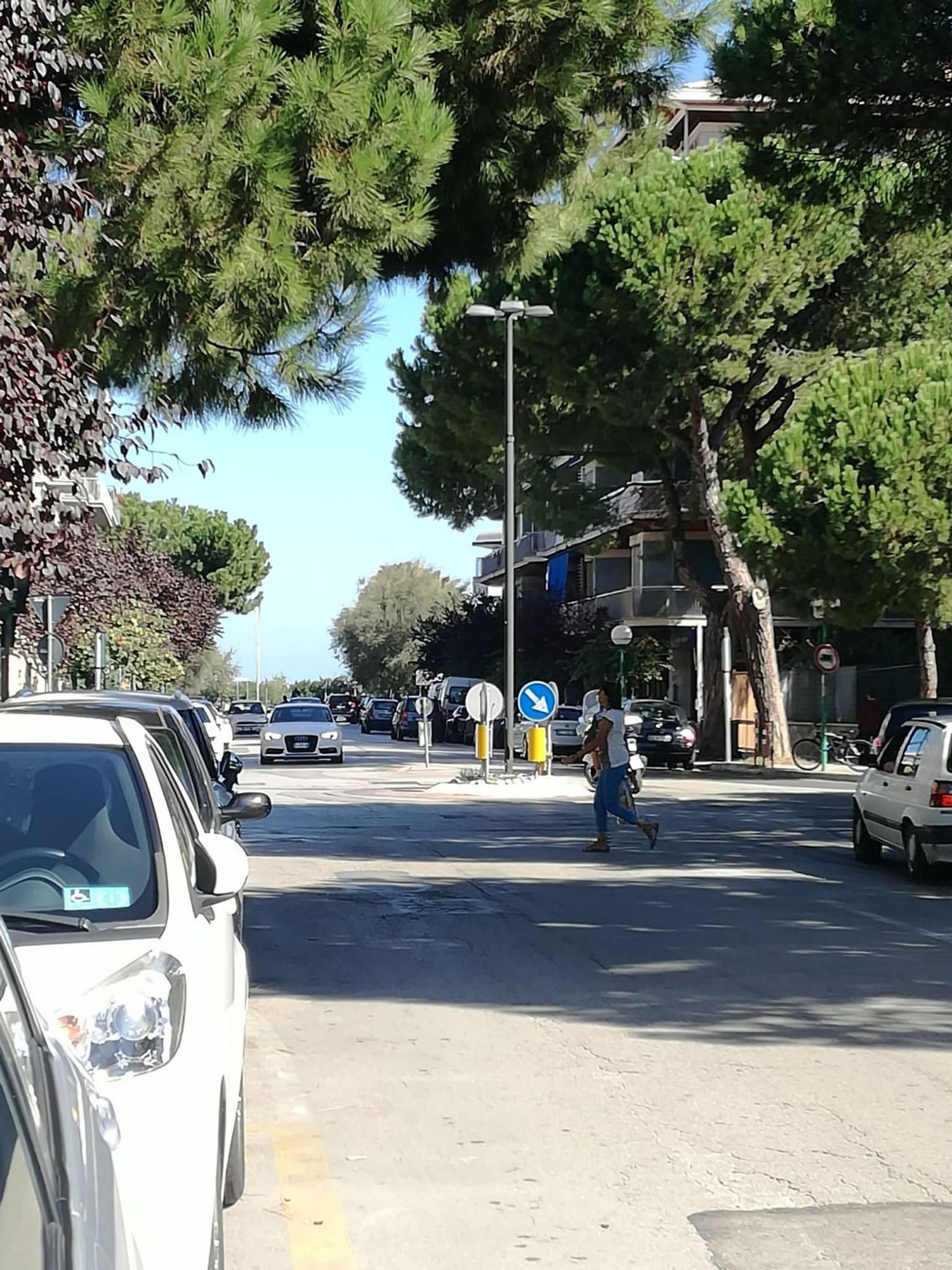 Locale commerciale in affitto in viale leopoldo muzii 61, Pescara