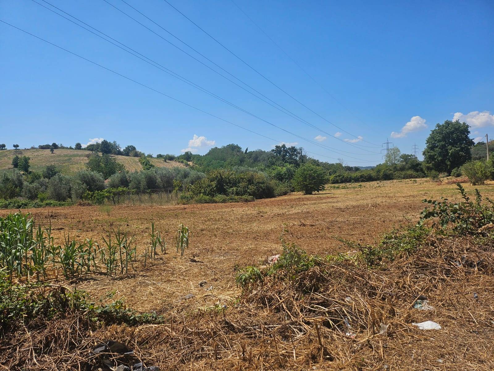 immagine annuncio 1 di 6
