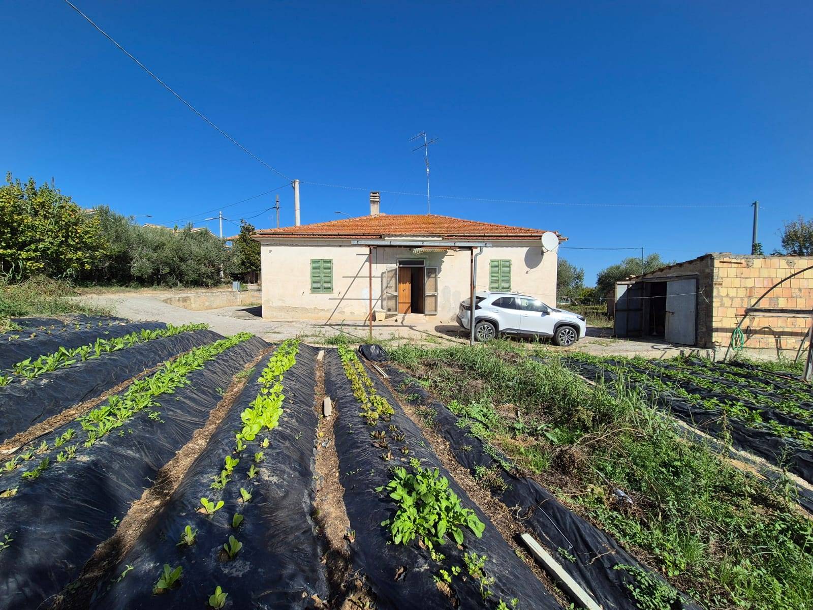 Casa indipendente in vendita, Miglianico cerreto