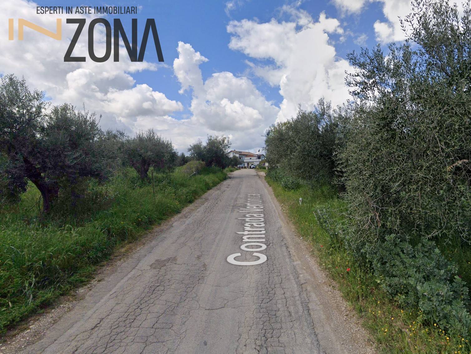 immagine annuncio 2 di 6