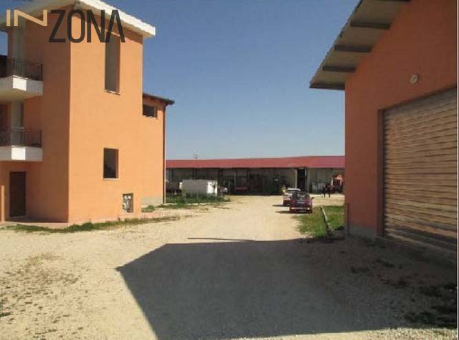 immagine annuncio 2 di 6