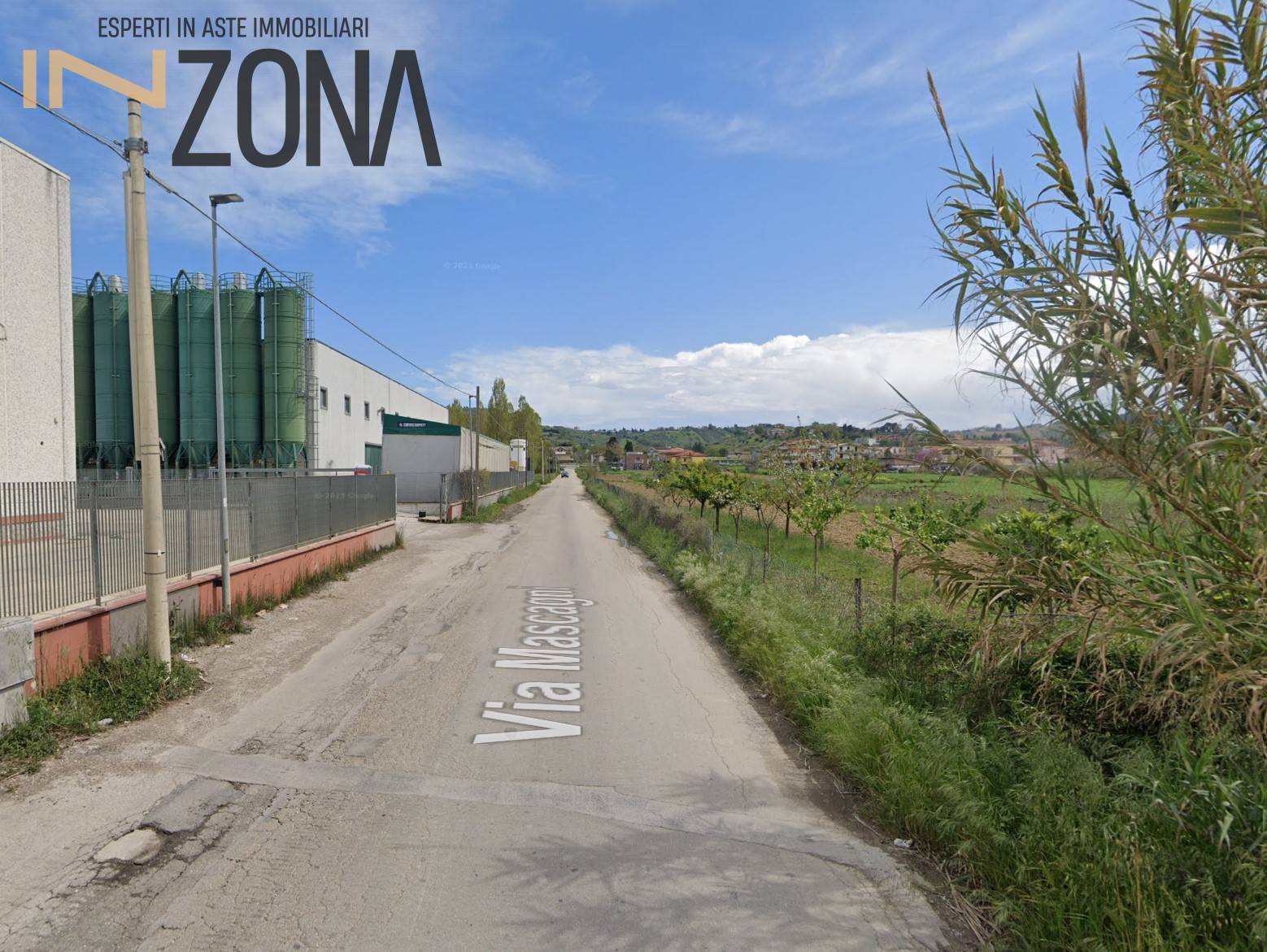 immagine annuncio 3 di 6
