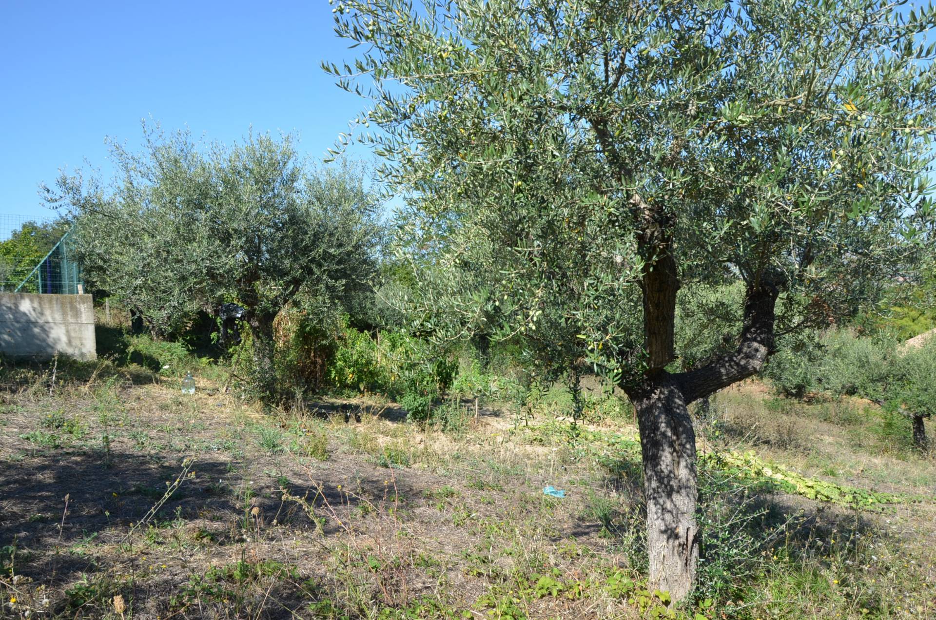 immagine annuncio 5 di 6