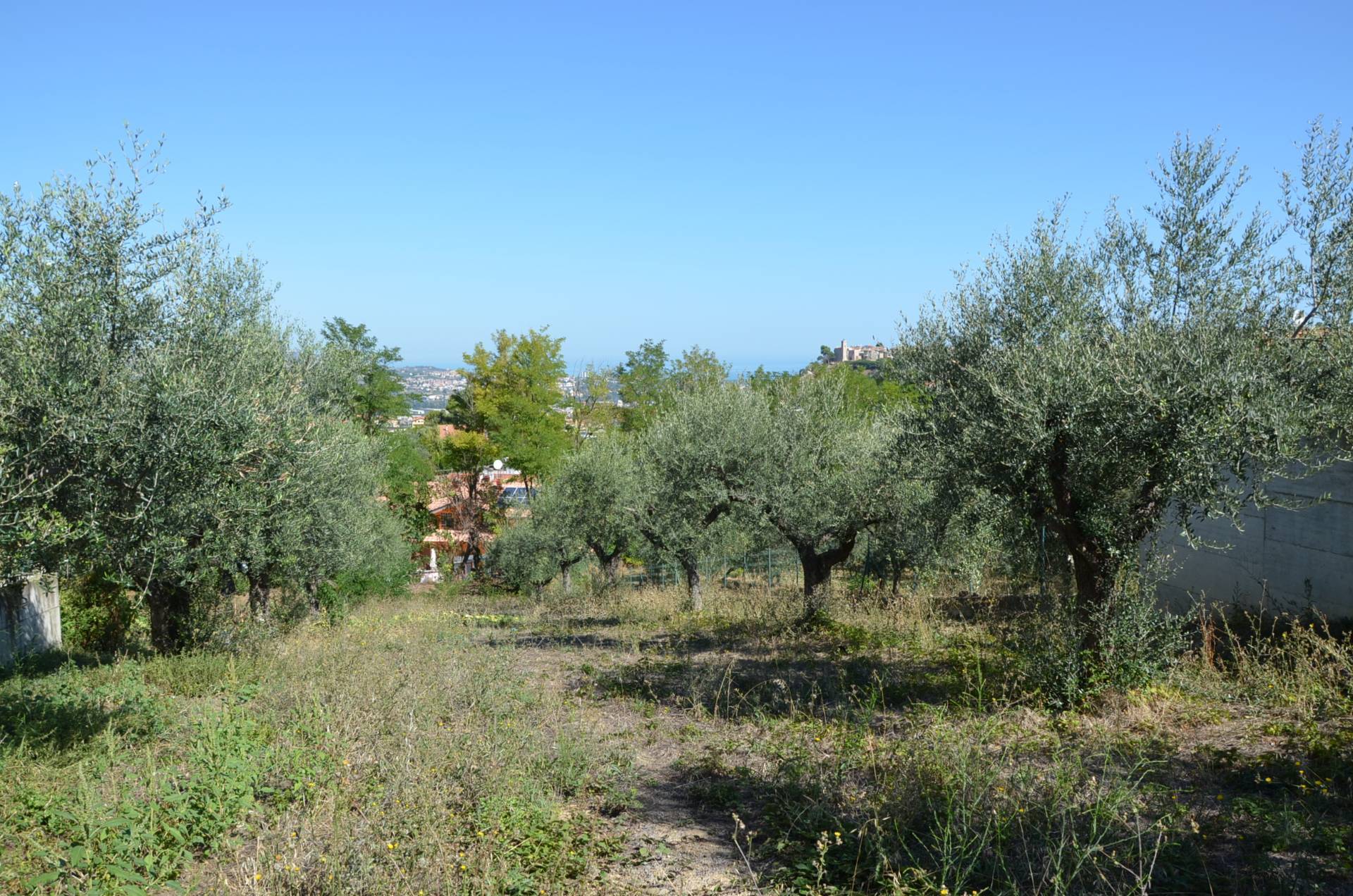 Terreno edificabile in vendita a Montesilvano, Montesilvano colle