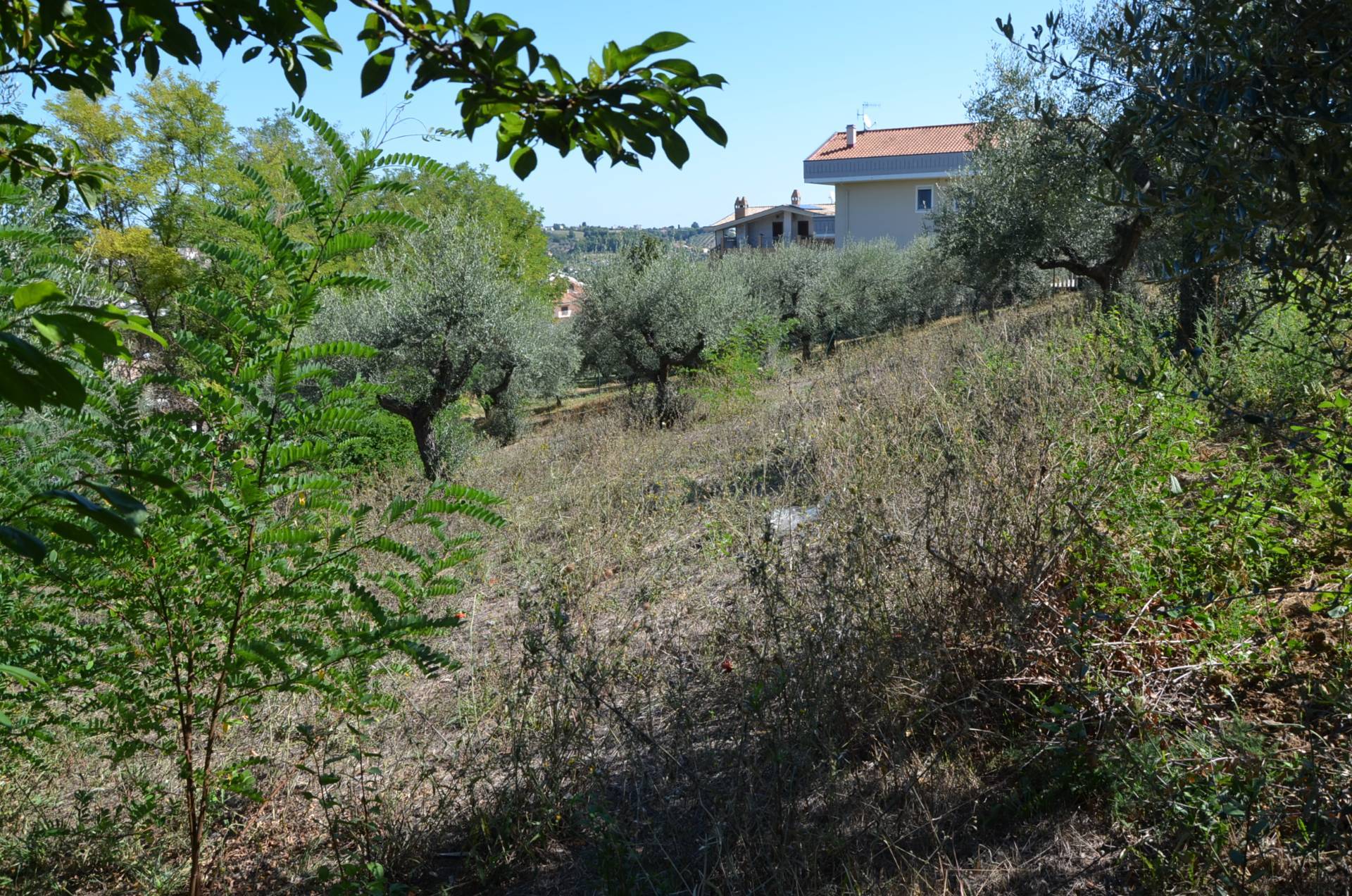 Terreno edificabile in vendita a Montesilvano, Montesilvano colle