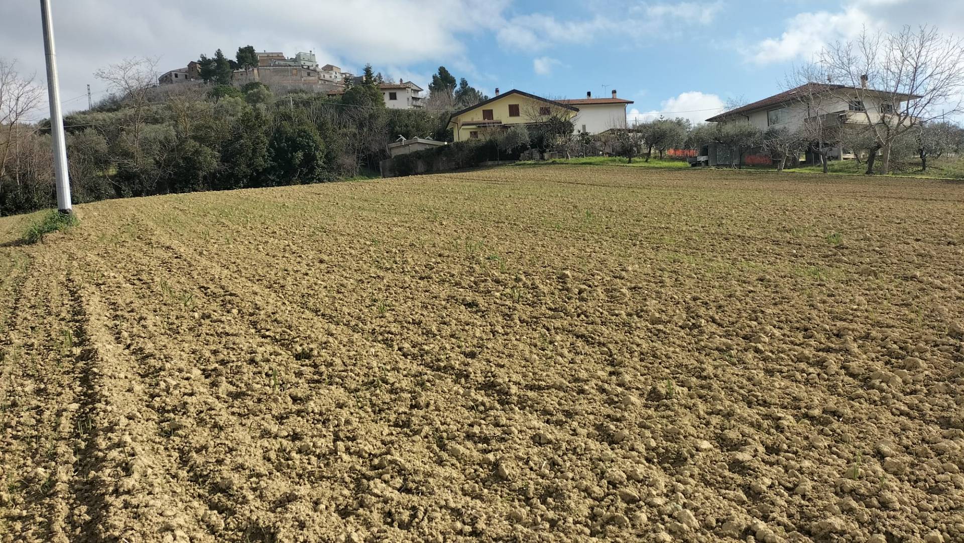 Terreno Agricolo in vendita a Collecorvino