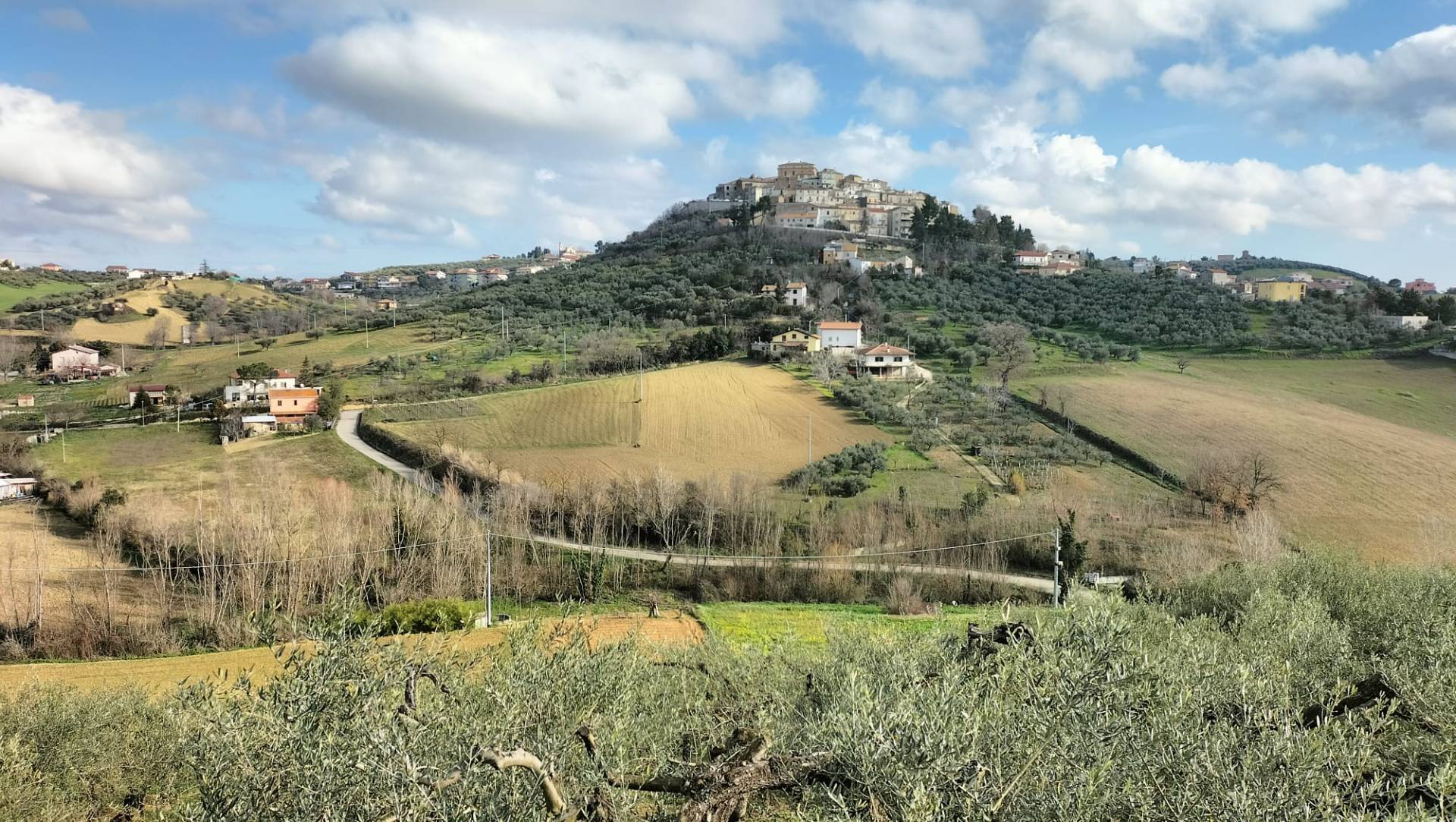 Terreno Agricolo in vendita a Collecorvino