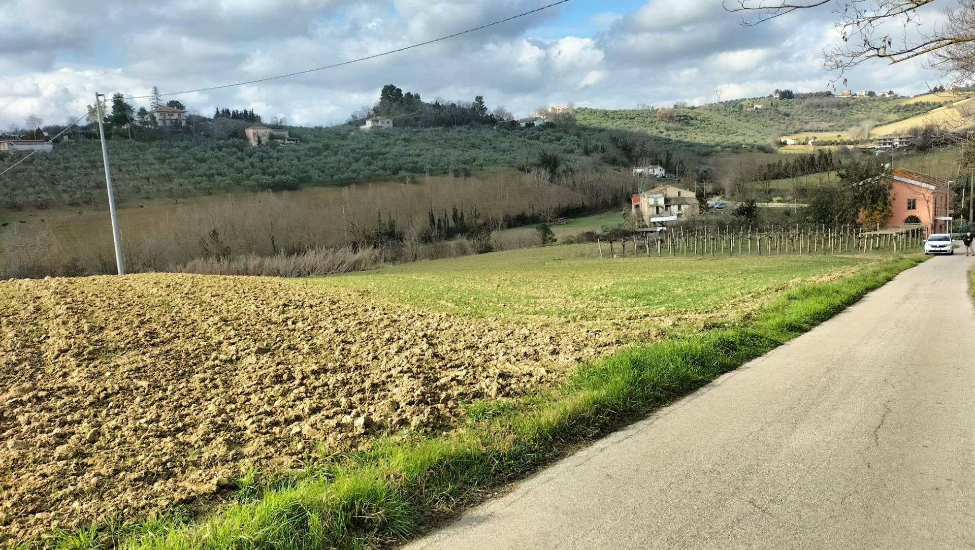 Terreno Agricolo in vendita a Collecorvino