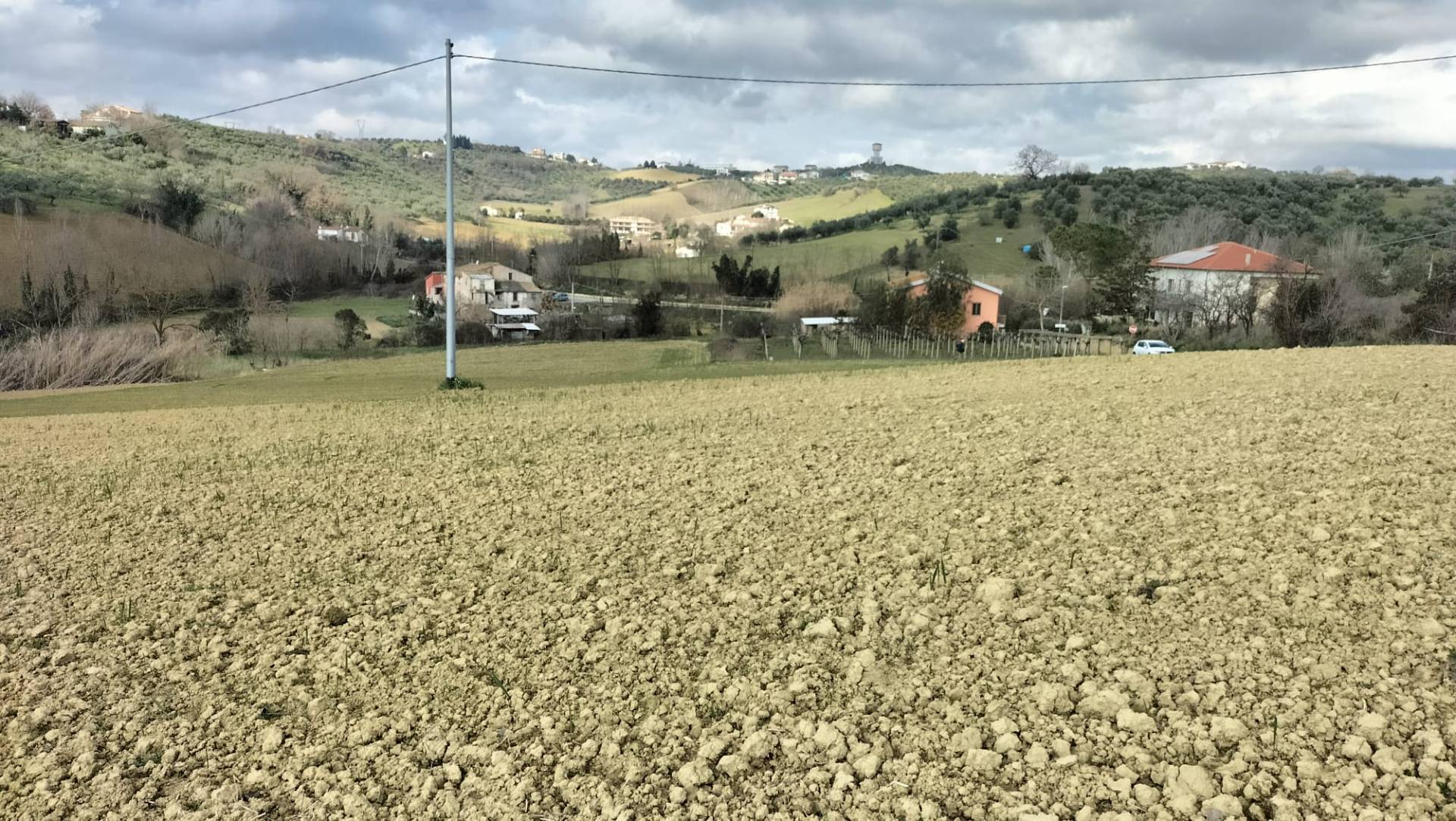 Terreno Agricolo in vendita a Collecorvino