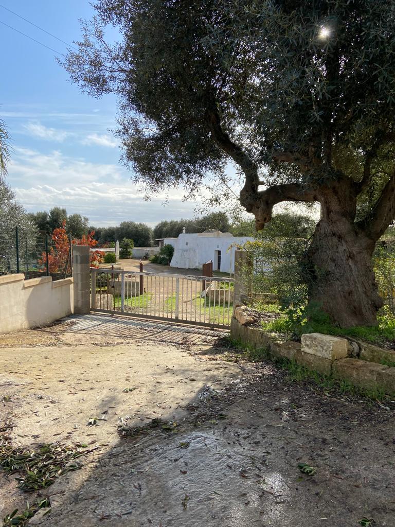 Villa con giardino in sp29 ostuni-san michele, Ostuni