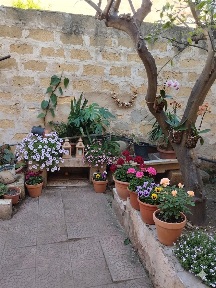 Casa indipendente con giardino, Trapani citt�