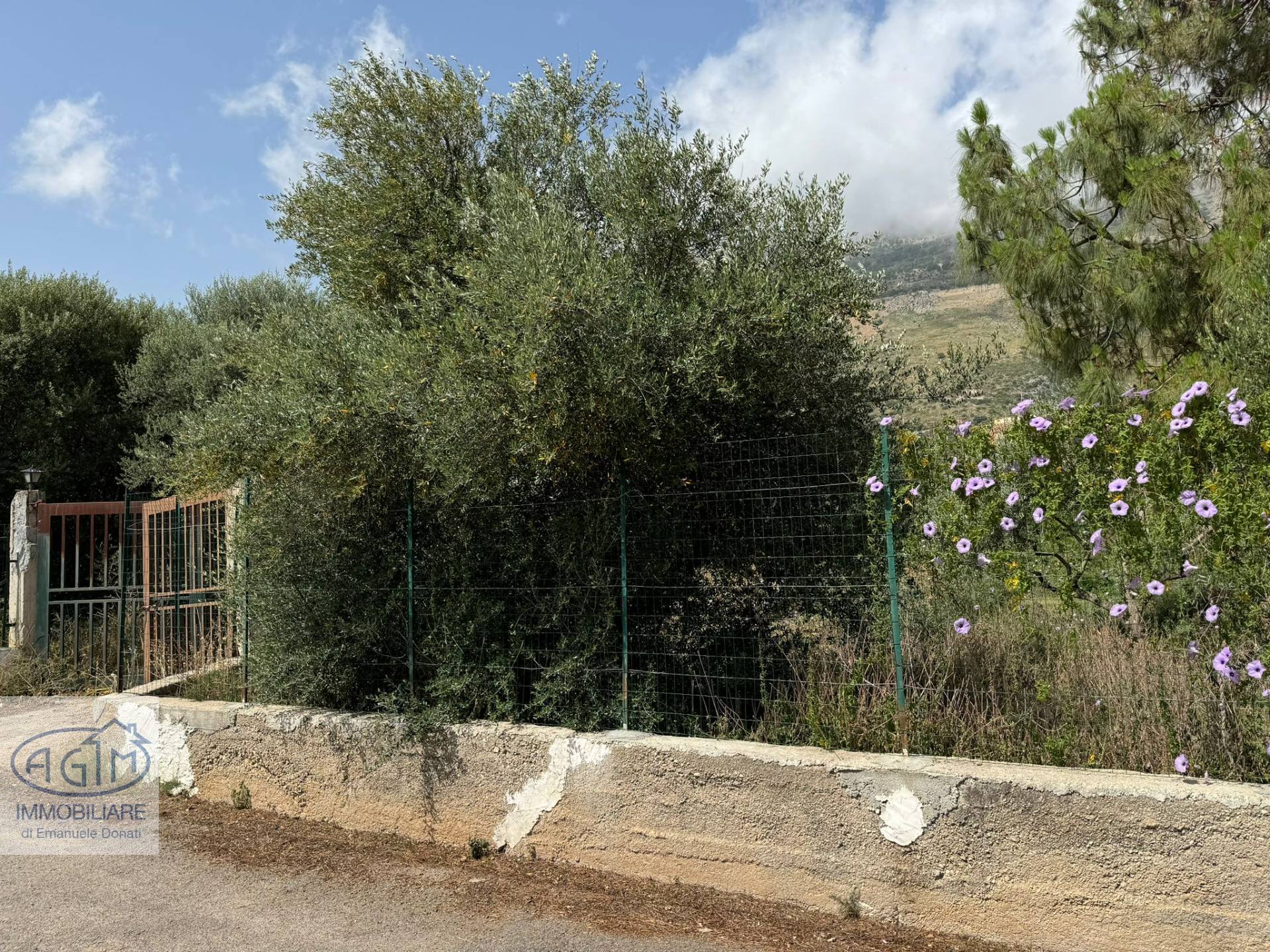 immagine annuncio 3 di 6