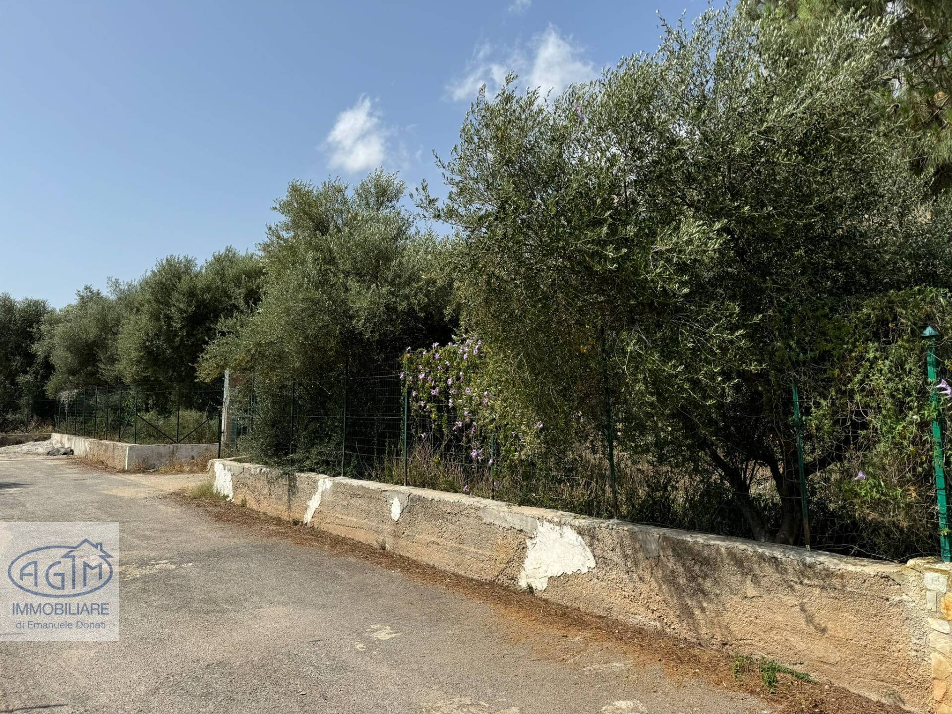 immagine annuncio 4 di 6