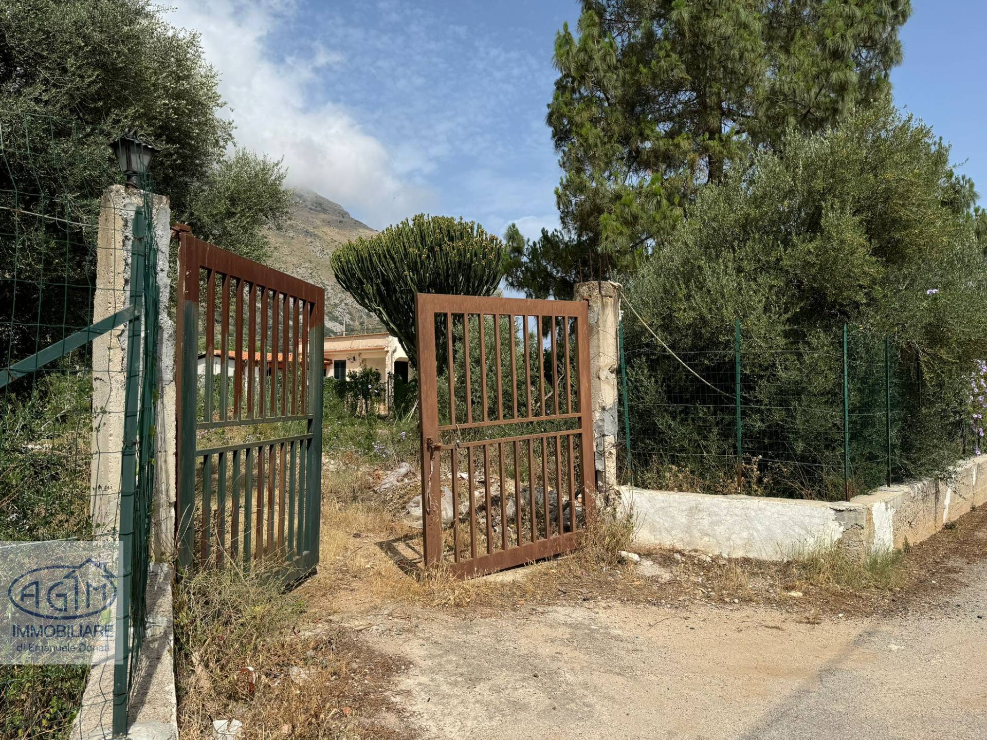 immagine annuncio 5 di 6